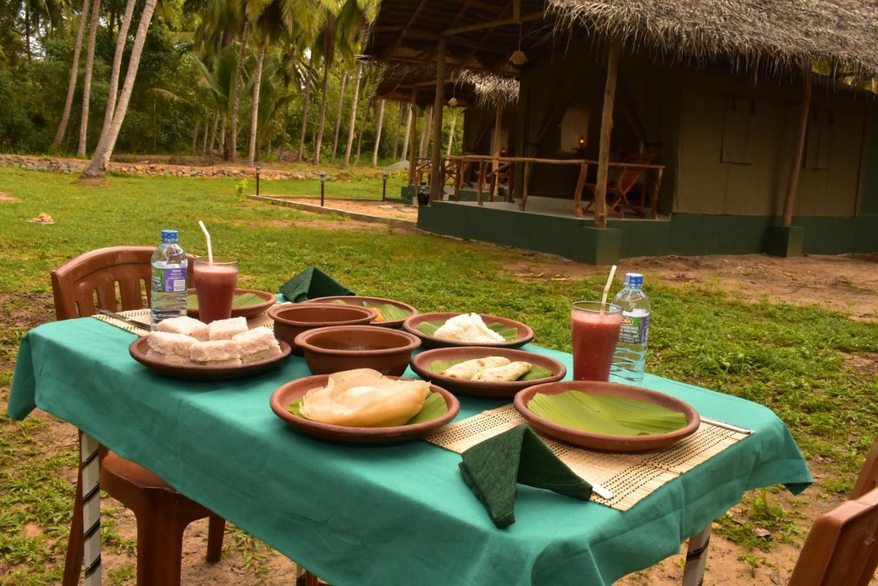 Jungle View River Camping Udawalawe Exterior photo